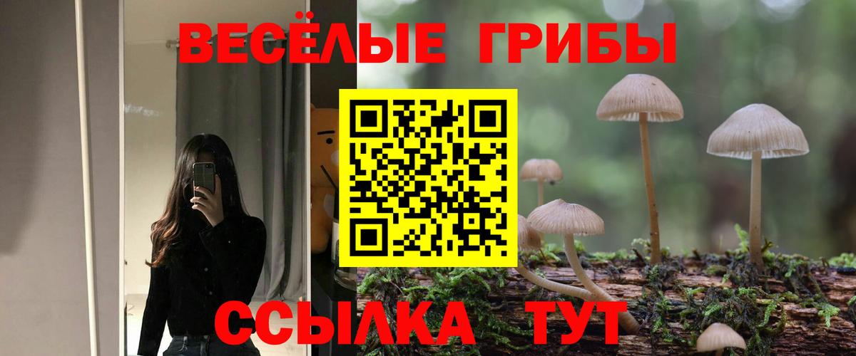Псилоцибиновые грибы MAGIC MUSHROOMS  Псилоцибиновые грибы Cubensis  Вход с VPN  Новошахтинск 